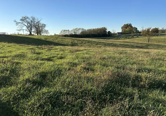 Photo 3 of Land for sale at 3523 Cynthiana Rd, Georgetown, KY 40324 | MLS# 24022426 | Listing updated on 2026-10-13