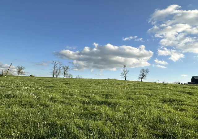 5th image of 3523 Cynthiana Rd, Georgetown, KY 40324 | MLS# 24022426
