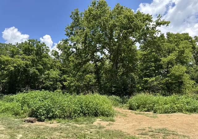 Photo 3 of Land for sale at 2640 & 2680 John Watts Rd, Nicholasville, KY 40356 | MLS# 25014870 | Listing updated on 2025-09-26