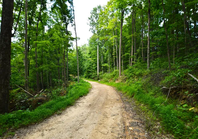 Photo 1 of Land for sale at 9999 Big Springs School Rd, Irvine, KY 40336 | MLS# 25014874 | Listing updated on 2025-09-12