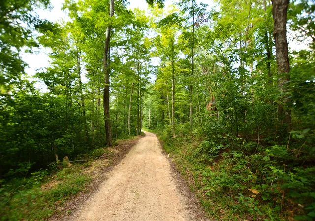 Photo 2 of Land for sale at 9999 Big Springs School Rd, Irvine, KY 40336 | MLS# 25014874 | Listing updated on 2025-09-12