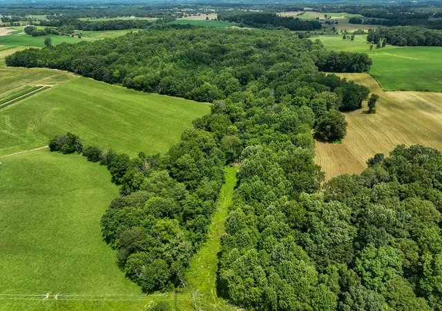 Photo 3 of Land for sale at 9999 Etna Rd, Eubank, KY 42567 | MLS# 25015033 | Listing updated on 2026-01-12