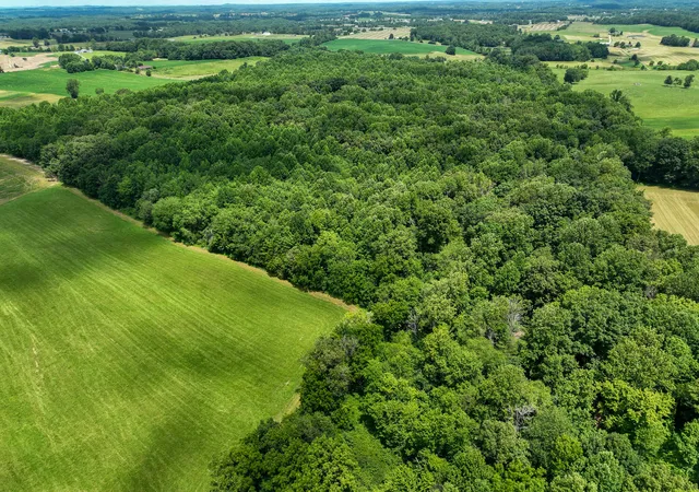 Photo 3 of Land for sale at 9999 Etna Rd, Eubank, KY 42567 | MLS# 25015033 | Listing updated on 2026-01-12