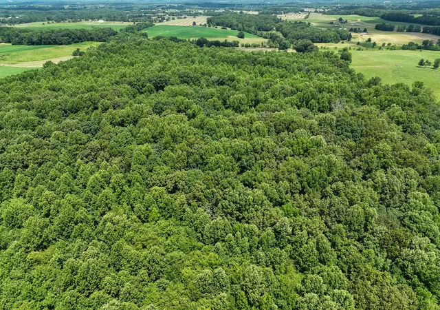 Photo 4 of Land for sale at 9999 Etna Rd, Eubank, KY 42567 | MLS# 25015033 | Listing updated on 2026-01-12