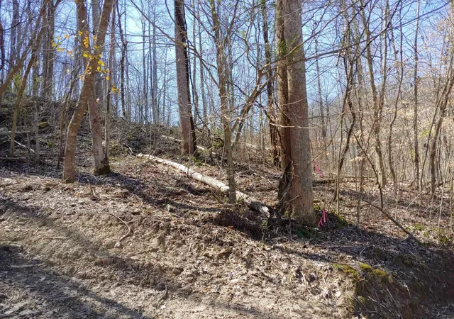 Photo 3 of Land for sale at 0 Birch Holw Rd #9, Stanton, KY 40380 | MLS# 25015168 | Listing updated on 2026-01-27