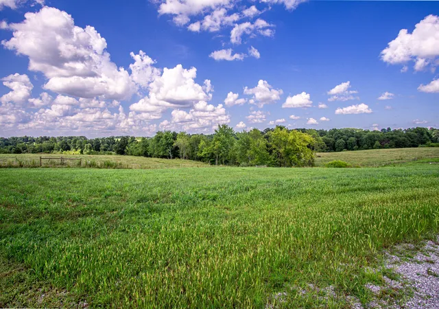 Photo 3 of Land for sale at 9 Turkey Lp, East Bernstadt, KY 40729 | MLS# 25016152 | Listing updated on 2025-09-27