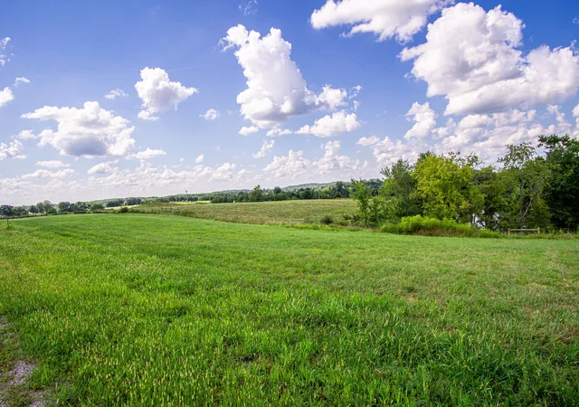 Photo 4 of Land for sale at 9 Turkey Lp, East Bernstadt, KY 40729 | MLS# 25016152 | Listing updated on 2025-09-27