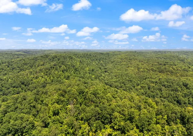 Photo 3 of Land for sale at 0 Patties Lick Rd, Morehead, KY 40351 | MLS# 25016468 | Listing updated on 2025-09-26