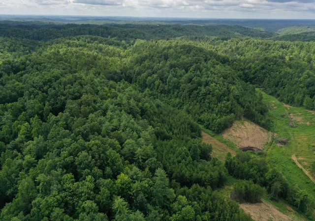 Photo 2 of Land for sale at 9999 Ky 1653 Quillen Chapel Rd, Campton, KY 41301 | MLS# 25016630 | Listing updated on 2025-09-27