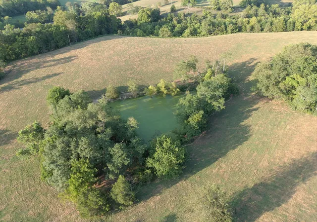 Homes for sale in Gravel Switch, KY | 19400 Forkland Rd, Gravel Switch, KY 40328 | MLS# 25017708