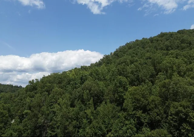 Photo 3 of Land for sale at 0 Greenbrier Rd, Garrison, KY 41141 | MLS# 25017385 | Listing updated on 2025-09-26