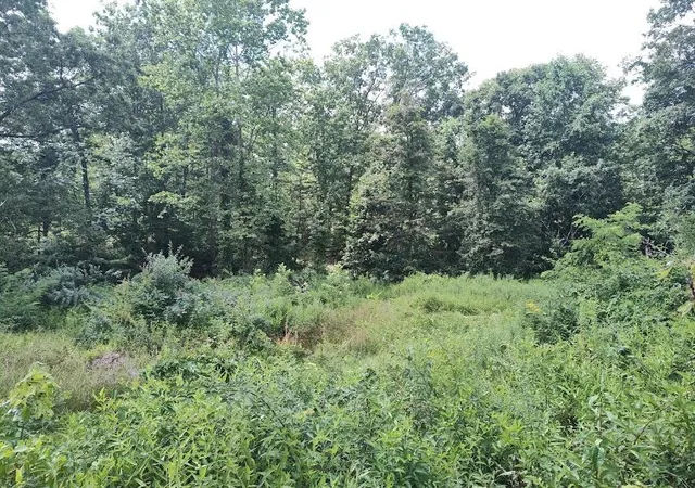 Photo 2 of Land for sale at 1150 Logan Hollow Rd, Morehead, KY 40351 | MLS# 25017269 | Listing updated on 2025-09-12