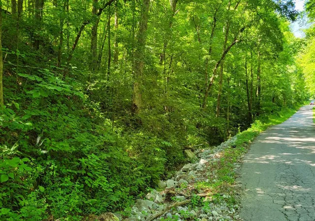 Photo 2 of Land for sale at 888 Hazel Patch Rd, East Bernstadt, KY 40729 | MLS# 25017333 | Listing updated on 2025-09-12