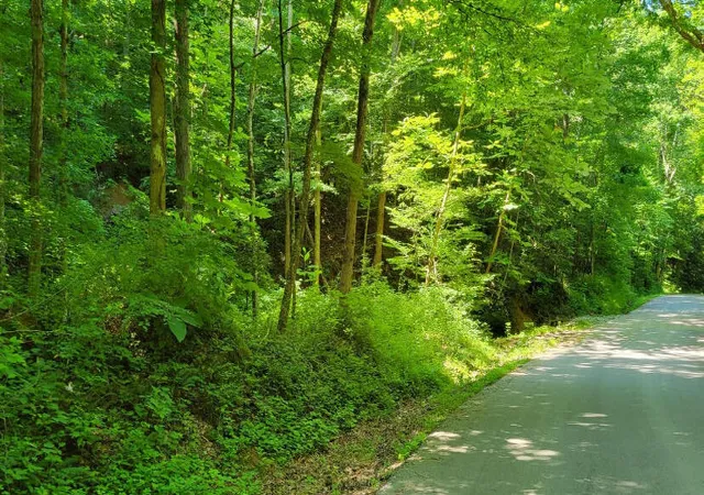 Photo 3 of Land for sale at 888 Hazel Patch Rd, East Bernstadt, KY 40729 | MLS# 25017333 | Listing updated on 2025-09-12