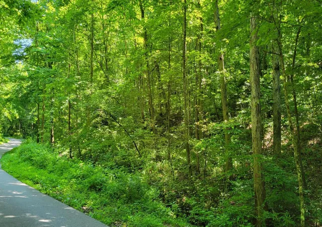 Photo 3 of House for sale at 888 Hazel Patch Rd, East Bernstadt, KY 40729 | MLS# 25017333 | Listing updated on 2025-09-12