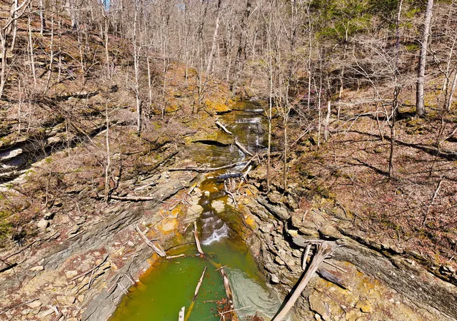 4th image of 8 Beechwood Dr, Nancy, KY 42544 | MLS# 25017447
