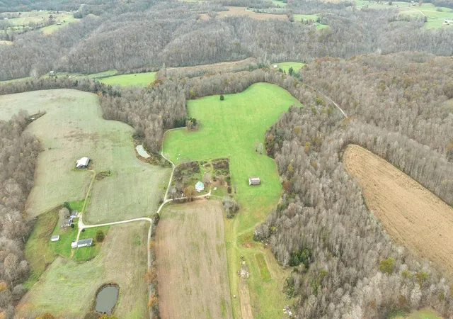 Photo 3 of Land for sale at 295 Spencer Gabbert Rd, Waynesburg, KY 40489 | MLS# 25017376 | Listing updated on 2025-09-12