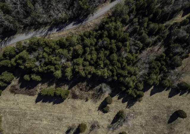 1st image of 221 Cumberland Ridge Dr, Bronston, KY 42518 | MLS# 25017534