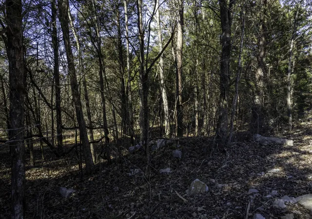 21st image of 221 Cumberland Ridge Dr, Bronston, KY 42518 | MLS# 25017534