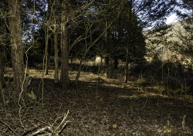 4th image of 221 Cumberland Ridge Dr, Bronston, KY 42518 | MLS# 25017534