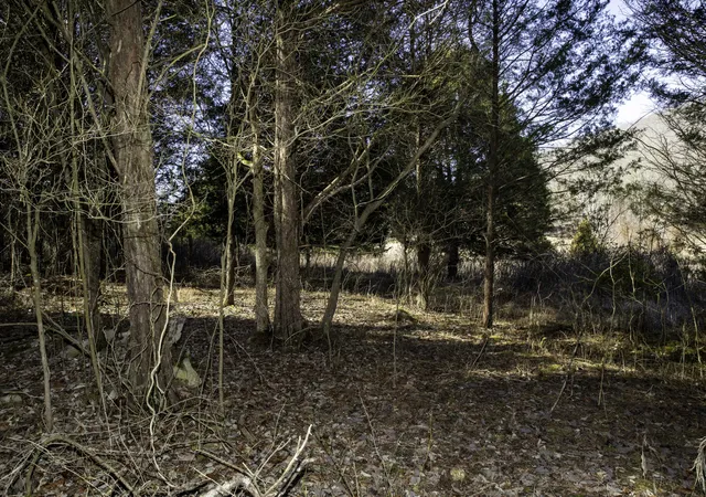 5th image of 221 Cumberland Ridge Dr, Bronston, KY 42518 | MLS# 25017534