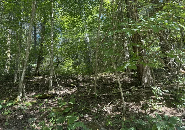Photo 1 of Land for sale at 1590 Crooked Crk Rd, Lawrenceburg, KY 40342 | MLS# 25018443 | Listing updated on 2025-09-12