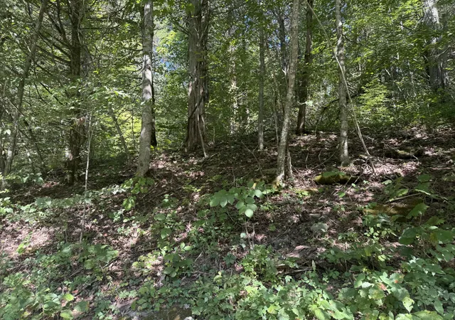 Photo 2 of Land for sale at 1590 Crooked Crk Rd, Lawrenceburg, KY 40342 | MLS# 25018443 | Listing updated on 2025-09-12