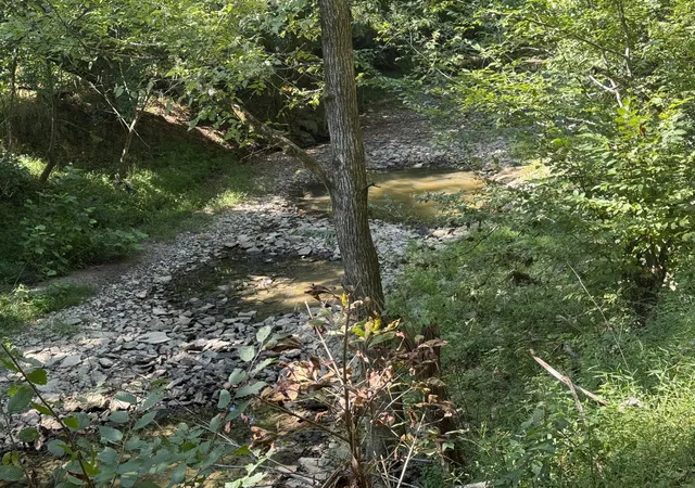 Photo 3 of Land for sale at 1590 Crooked Crk Rd, Lawrenceburg, KY 40342 | MLS# 25018443 | Listing updated on 2025-09-12