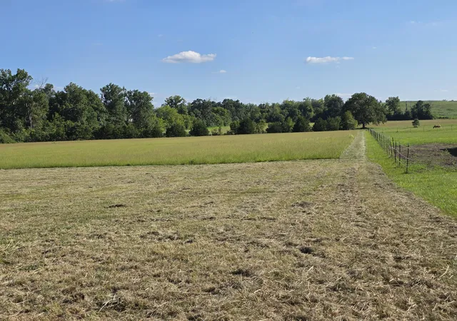 2nd image of 9999 Peggy Flats Rd, Berea, KY 40403 | MLS# 25018476