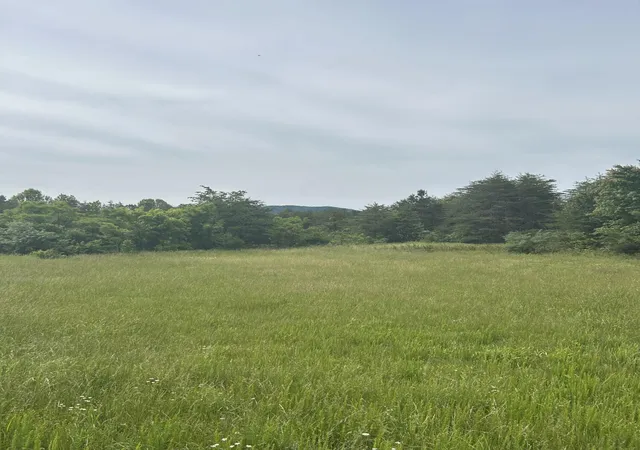 Photo 2 of Land for sale at 3c Loop Rd, Williamsburg, KY 40769 | MLS# 25013754 | Listing updated on 2025-09-27