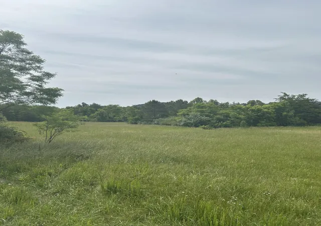 Photo 3 of Land for sale at 3c Loop Rd, Williamsburg, KY 40769 | MLS# 25013754 | Listing updated on 2025-09-27