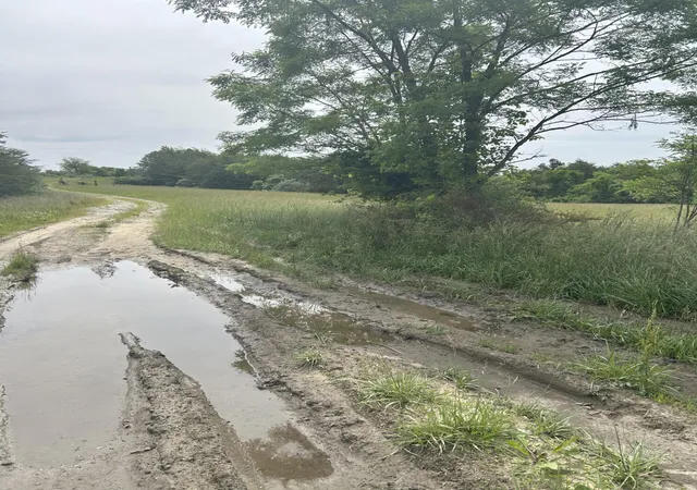 Photo 4 of Land for sale at 3c Loop Rd, Williamsburg, KY 40769 | MLS# 25013754 | Listing updated on 2025-09-27