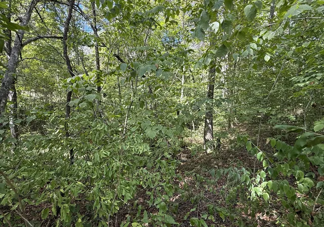 Photo 3 of Land for sale at 1268 Bear Crk Rd, Lawrenceburg, KY 40342 | MLS# 25019050 | Listing updated on 2025-11-07