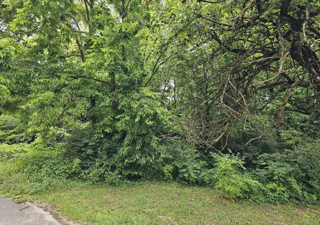 Photo 3 of Sale Pending at 538 Lincoln St, Lawrenceburg, KY 40342 | MLS# 25500450 | Listing updated on 2025-12-06