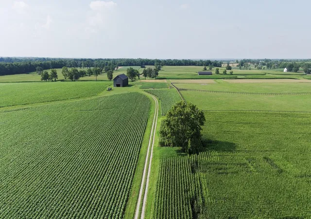 12th image of 1700 Shannon Run Rd, Versailles, KY 40383 | MLS# 25500485