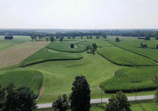 Photo 4 of House for sale at 1700 Shannon Run Rd, Versailles, KY 40383 | MLS# 25500485 | Listing updated on 2026-07-31