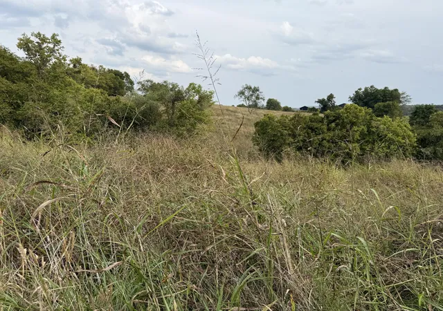 Photo 1 of Land for sale at 4252 Ky 36, Owingsville, KY 40360 | MLS# 25500625 | Listing updated on 2026-02-16