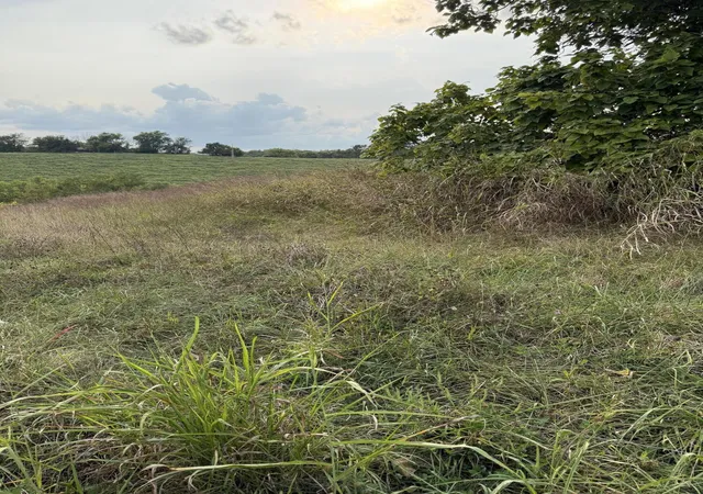 Photo 3 of Land for sale at 4252 Ky-36, Owingsville, KY 40360 | MLS# 25500625 | Listing updated on 2026-02-16