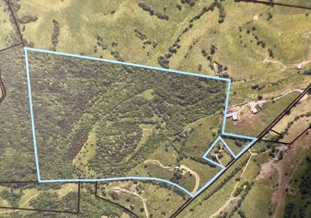 Photo 4 of Land for sale at 4252 Ky-36, Owingsville, KY 40360 | MLS# 25500625 | Listing updated on 2026-02-16