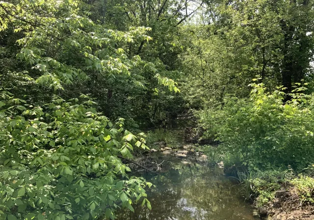 Homes for sale in Lawrenceburg, KY | 1012 Hungry Run Rd, Lawrenceburg, KY 40342 | MLS# 25500751