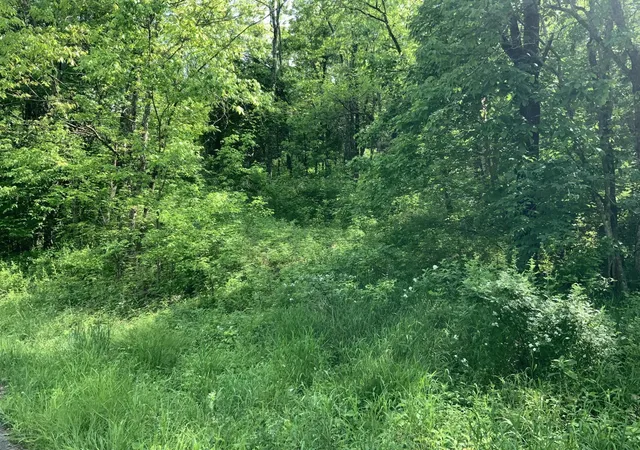 Homes for sale in Lawrenceburg, KY | 1012 Hungry Run Rd, Lawrenceburg, KY 40342 | MLS# 25500751