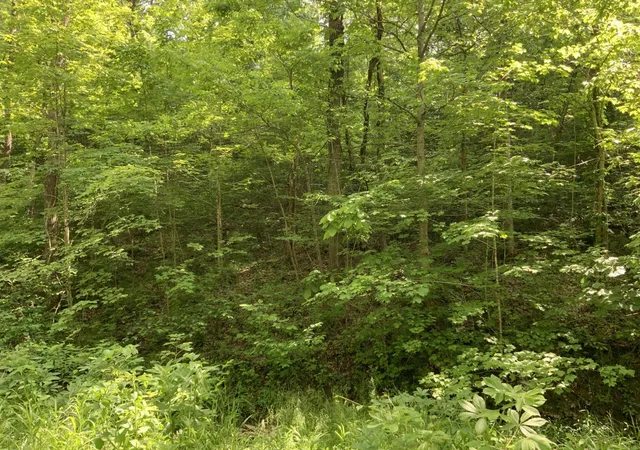 Homes for sale in Lawrenceburg, KY | 1012 Hungry Run Rd, Lawrenceburg, KY 40342 | MLS# 25500751