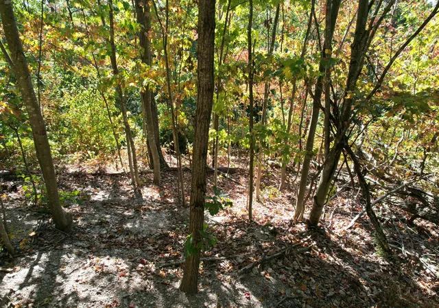 Homes for sale in Flemingsburg, KY | 0 Evans Sisters Rd, Flemingsburg, KY 41041 | MLS# 25500852