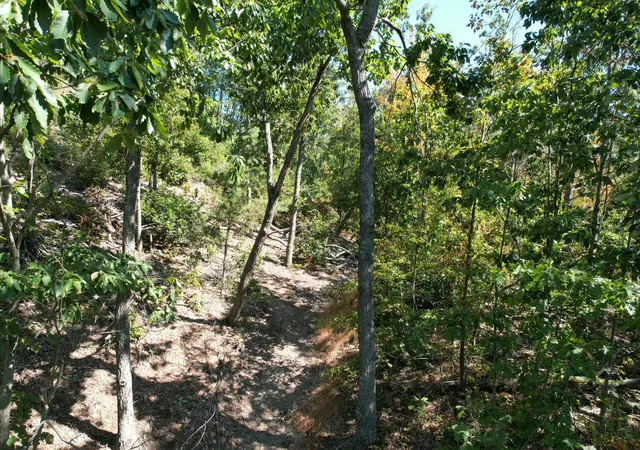 Homes for sale in Flemingsburg, KY | 0 Evans Sisters Rd, Flemingsburg, KY 41041 | MLS# 25500852