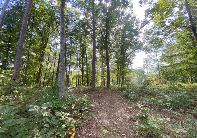 Photo 1 of Sale Pending at 0 Douglas Blvd, Corbin, KY 40701 | MLS# 25501314 | Listing updated on 2025-10-18