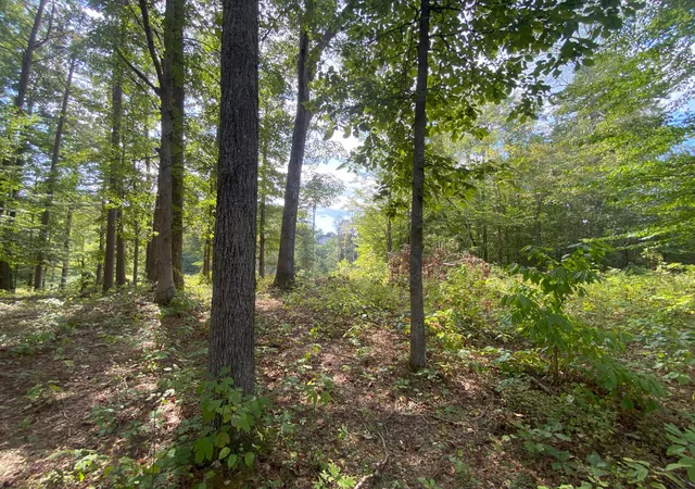 Photo 2 of Sale Pending at 0 Douglas Blvd, Corbin, KY 40701 | MLS# 25501314 | Listing updated on 2025-10-18