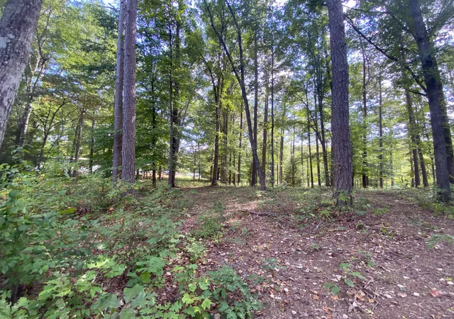 Photo 3 of Sale Pending at 0 Douglas Blvd, Corbin, KY 40701 | MLS# 25501314 | Listing updated on 2025-10-18