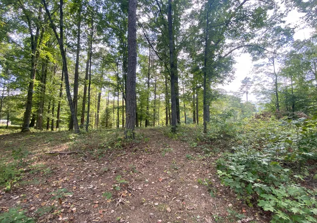 Photo 3 of Sale Pending at 0 Douglas Blvd, Corbin, KY 40701 | MLS# 25501314 | Listing updated on 2025-10-18