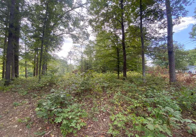Photo 4 of Sale Pending at 0 Douglas Blvd, Corbin, KY 40701 | MLS# 25501314 | Listing updated on 2025-10-18