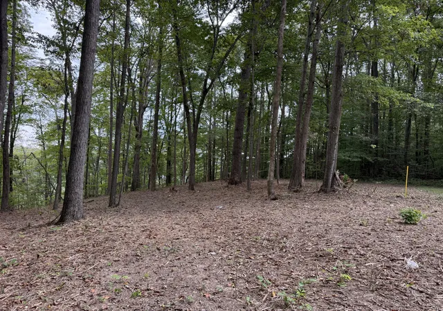 Photo 1 of Land for sale at Lot 7 & 8 Whittle Ln, Russell Springs, KY 42642 | MLS# 25501460 | Listing updated on 2025-10-09